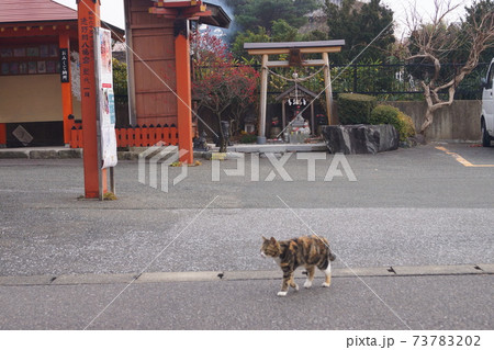遠野郷八幡宮 遠野郷八幡宮 73783202