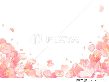 桜フレーム 透過のイラスト素材