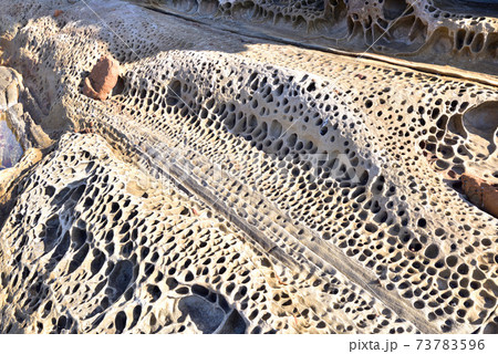 見残し 見残し海岸 千尋岬 自然の造形 高知県土佐清水市 見残し 見残し海岸 千尋岬 自然の造形 高知県土佐清水市 73783596