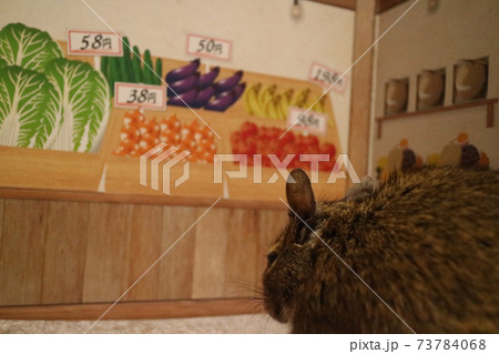 初めてのお買い物(八百屋さん編) 73784068