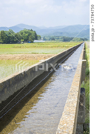 安積疏水と田植えを終えた田んぼ 安積疏水と田植えを終えた田んぼ 73784750