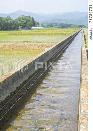 安積疏水と田植えを終えた田んぼ 安積疏水と田植えを終えた田んぼ 73784751