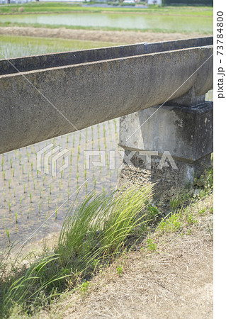 安積疏水と田植えを終えた田んぼ 安積疏水と田植えを終えた田んぼ 73784800