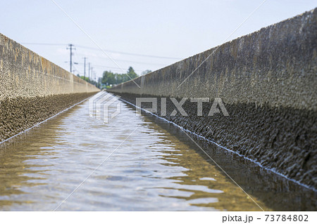 安積疏水と田植えを終えた田んぼ 安積疏水と田植えを終えた田んぼ 73784802
