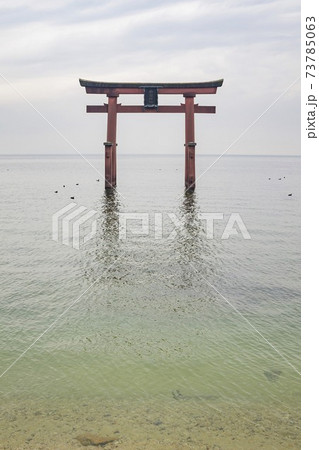 The Torii in the Lake Biwa, Shirahige Shrine The Torii in the Lake Biwa, Shirahige Shrine 73785063