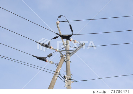 電線 電柱 電気 屋外 電流 電信柱の写真素材