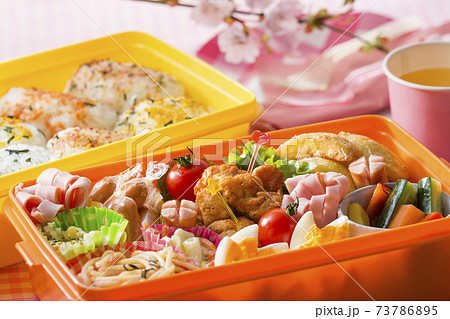 春の行楽　お弁当 73786895