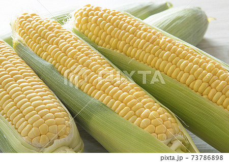 とうもろこし 73786898