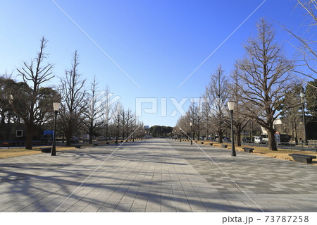 東京駅側からみた行幸通り（東京都千代田区） 73787258