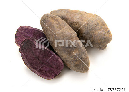 ジャガイモのシャドークイーンの写真素材