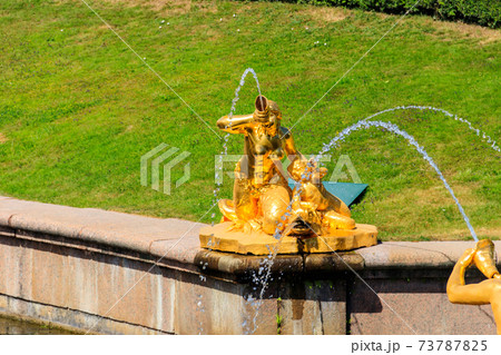 Gilded fountain in Lower park of Peterhof in St. Petersburg, Russia 73787825