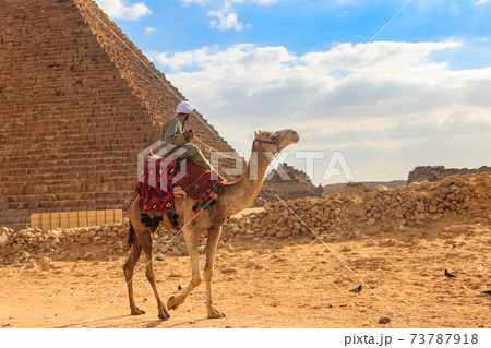 Bedouin riding camel near Great Pyramids of Giza in Cairo, Egypt 73787918