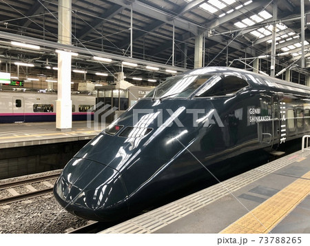 新潟駅の現美新幹線 新潟駅の現美新幹線 73788265