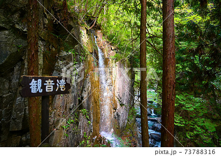 付知峡 観音滝 岐阜県中津川市 付知峡 観音滝 岐阜県中津川市 73788316