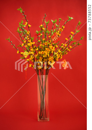 Apricot branches for Chinese New Year 73788552