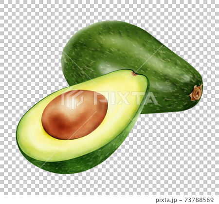 Watercolor illustration avocado Watercolor illustration avocado 73788569