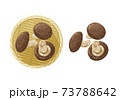 椎茸のイラスト 73788642