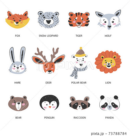 Animals Muzzles And Portraits Fox And Polar Bearのイラスト素材