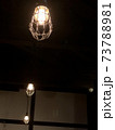おしゃれな電球 73788981