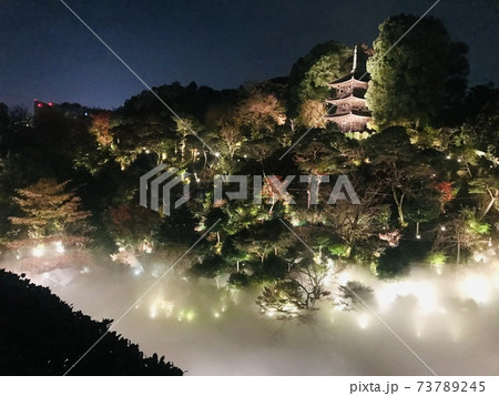 ホテル椿山荘東京の雲海 73789245