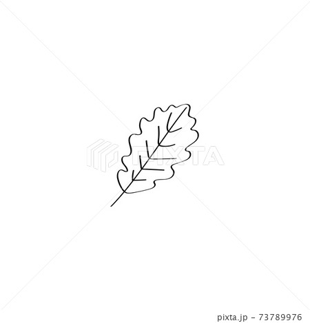 Oak leaf doodle icon. Vector hand drawn illustration 73789976