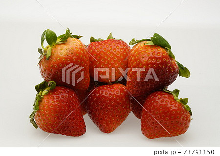 イチゴ　恋のぞみ　熊本県産 73791150