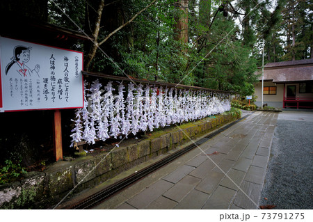 雨の日の箱根神社おみくじ結び所 73791275
