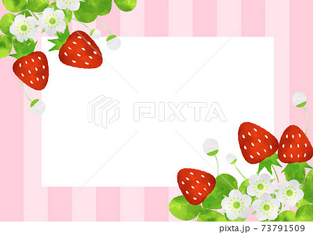 かわいいイチゴのフレーム 背景素材 角型のイラスト素材