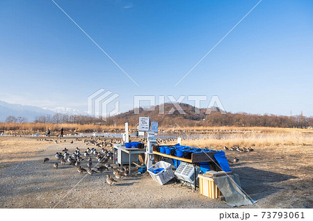 安曇野　冬の御宝田遊水地 73793061