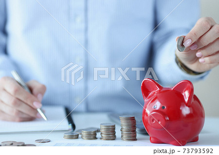 Person holds coins over piggy bank and makes notes in documents 73793592