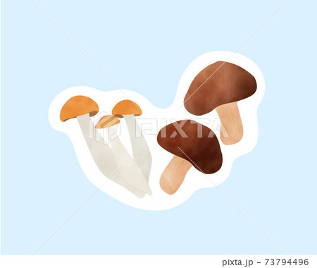 免疫力を高める食材/糖質制限/水彩/菌類/キノコ 免疫力を高める食材/糖質制限/水彩/菌類/キノコ 73794496