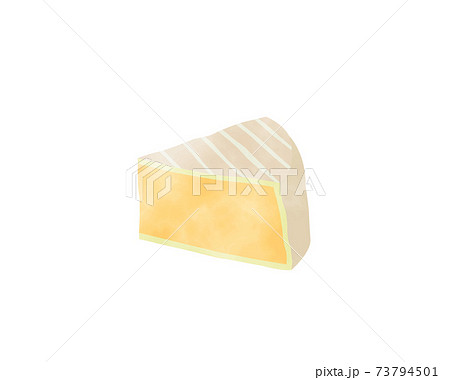 免疫力を高める食材／糖質制限／水彩／乳製品／チーズ 73794501