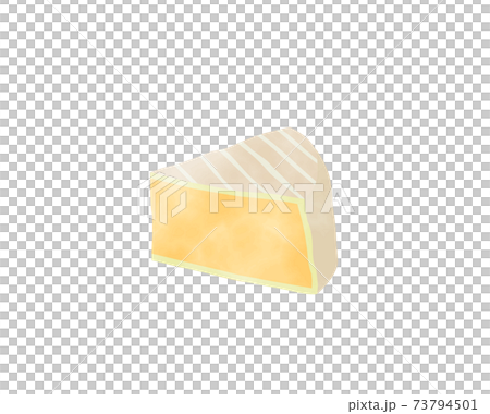 免疫力を高める食材／糖質制限／水彩／乳製品／チーズ 73794501