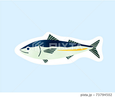 免疫力を高める食材 糖質制限 水彩 魚 青魚のイラスト素材