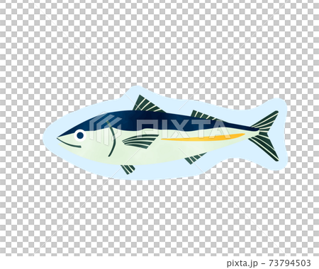 免疫力を高める食材 糖質制限 水彩 魚 青魚のイラスト素材