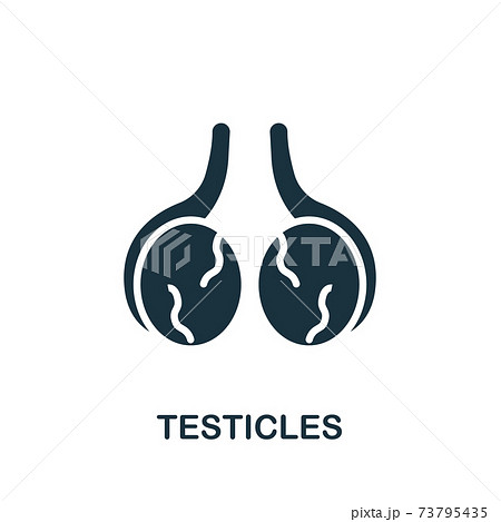 Testicles icon. Simple element from internal...のイラスト素材 [73795435] - PIXTA