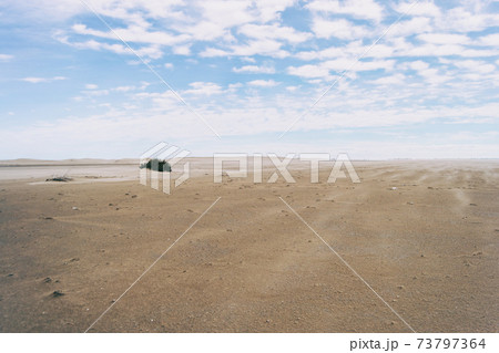 Lonely dunes in the Ebro delta, Tarragona, Spain. Lonely dunes in the Ebro delta, Tarragona, Spain. 73797364