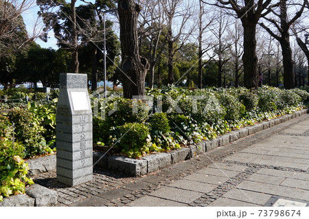 山下公園通り 73798674