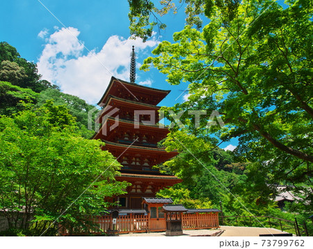 奈良県　長谷寺　新緑に包まれた五重塔 73799762