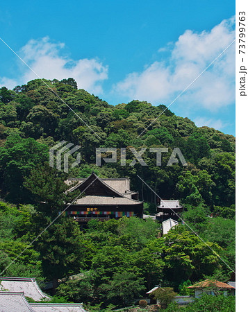 奈良県 長谷寺 本坊から新緑に包まれた本堂の眺め 奈良県 長谷寺 本坊から新緑に包まれた本堂の眺め 73799763