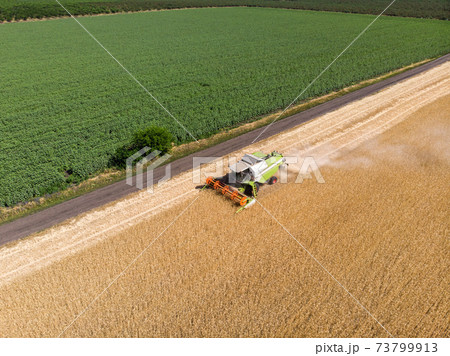 Aerial drone top view Big powerful industrial combine harvester machine reaping golden ripe wheat cereal field on bright summer or autumn day. Agricultural yellow field machinery landscape background Aerial drone top view Big powerful industrial combine harvester machine reaping golden ripe wheat cereal field on bright summer or autumn day. Agricultural yellow field machinery landscape background 73799913