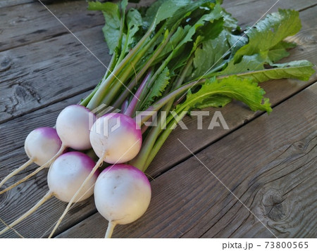 あやめ雪かぶ 73800565