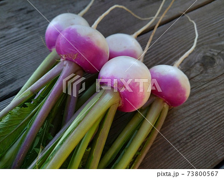 あやめ雪かぶ あやめ雪かぶ 73800567