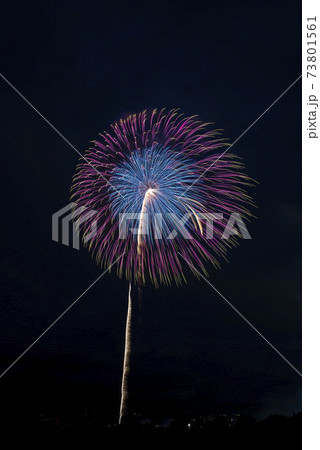 【秋田県】大曲の花火。全国花火競技大会。日本一の花火大会。 73801561