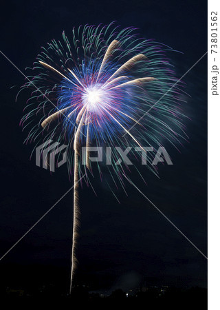 【秋田県】大曲の花火。全国花火競技大会。日本一の花火大会。 73801562