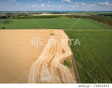 Aerial drone top view Big powerful industrial combine harvester machine reaping golden ripe wheat cereal field on bright summer or autumn day. Agricultural yellow field machinery landscape background 73801843