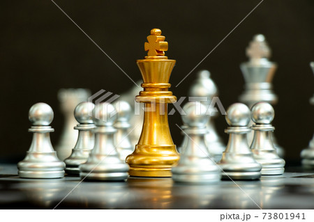 Gold king in chess game surrond with the another silver team on black background (Concept for company strategy, business crisis or decision) 73801941