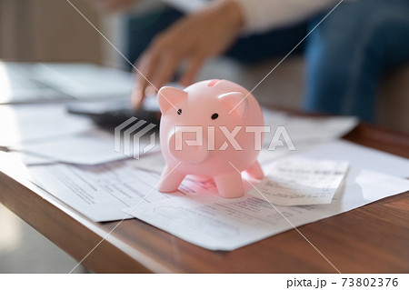 Close up woman calculating and saving money, pink piggy bank Close up woman calculating and saving money, pink piggy bank 73802376
