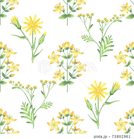Watercolor yellow flowers pattern 73802961