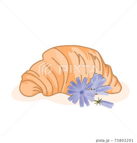 Delicious baked croissant and cute chicory flowers isolated on a white background. Vector illustration, good morning concept Delicious baked croissant and cute chicory flowers isolated on a white background. Vector illustration, good morning concept 73803201